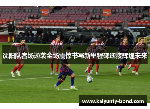 沈阳队客场逆袭全场震惊书写新里程碑迎接辉煌未来