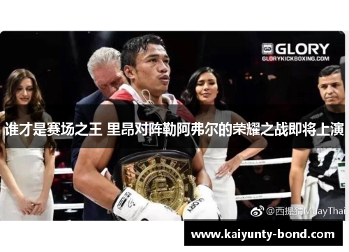 谁才是赛场之王 里昂对阵勒阿弗尔的荣耀之战即将上演