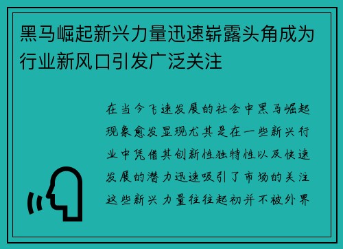 黑马崛起新兴力量迅速崭露头角成为行业新风口引发广泛关注
