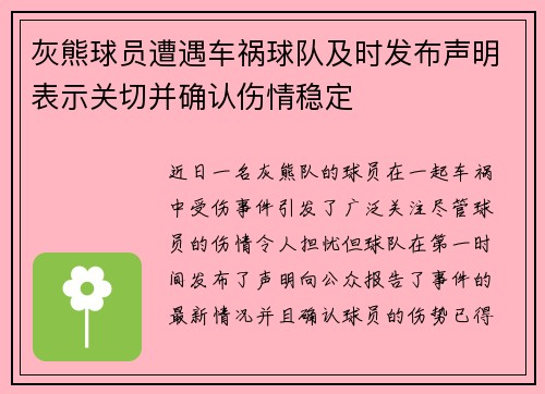 灰熊球员遭遇车祸球队及时发布声明表示关切并确认伤情稳定